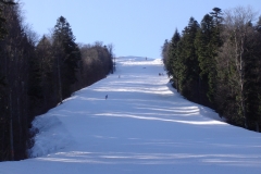 Partia Sorica