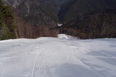 Partia Cazacu