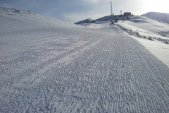 azuga_27.02.2015